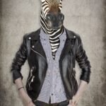 Animal