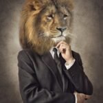 Animal