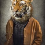 Animal